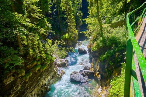 Natur pur im Allgäu – Erleben & Entspannen mit der ganzen Familie